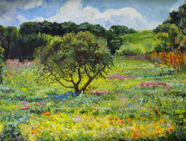 Pintura Óleo Manhã Primavera Paisagem Árvores Carvalho Campo Com Flores — Fotografia de Stock