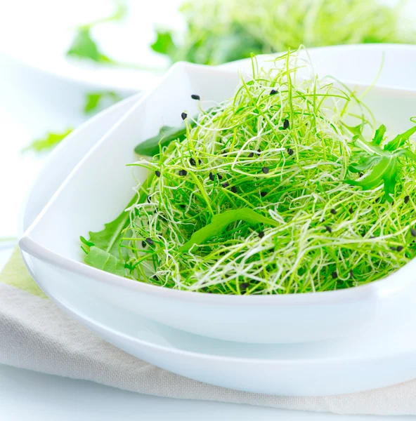 Healthy Green Salad — Stock Photo, Image