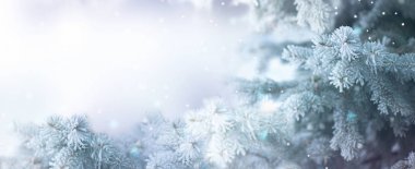 Snow covered fir on snowy background with lights and bokeh clipart