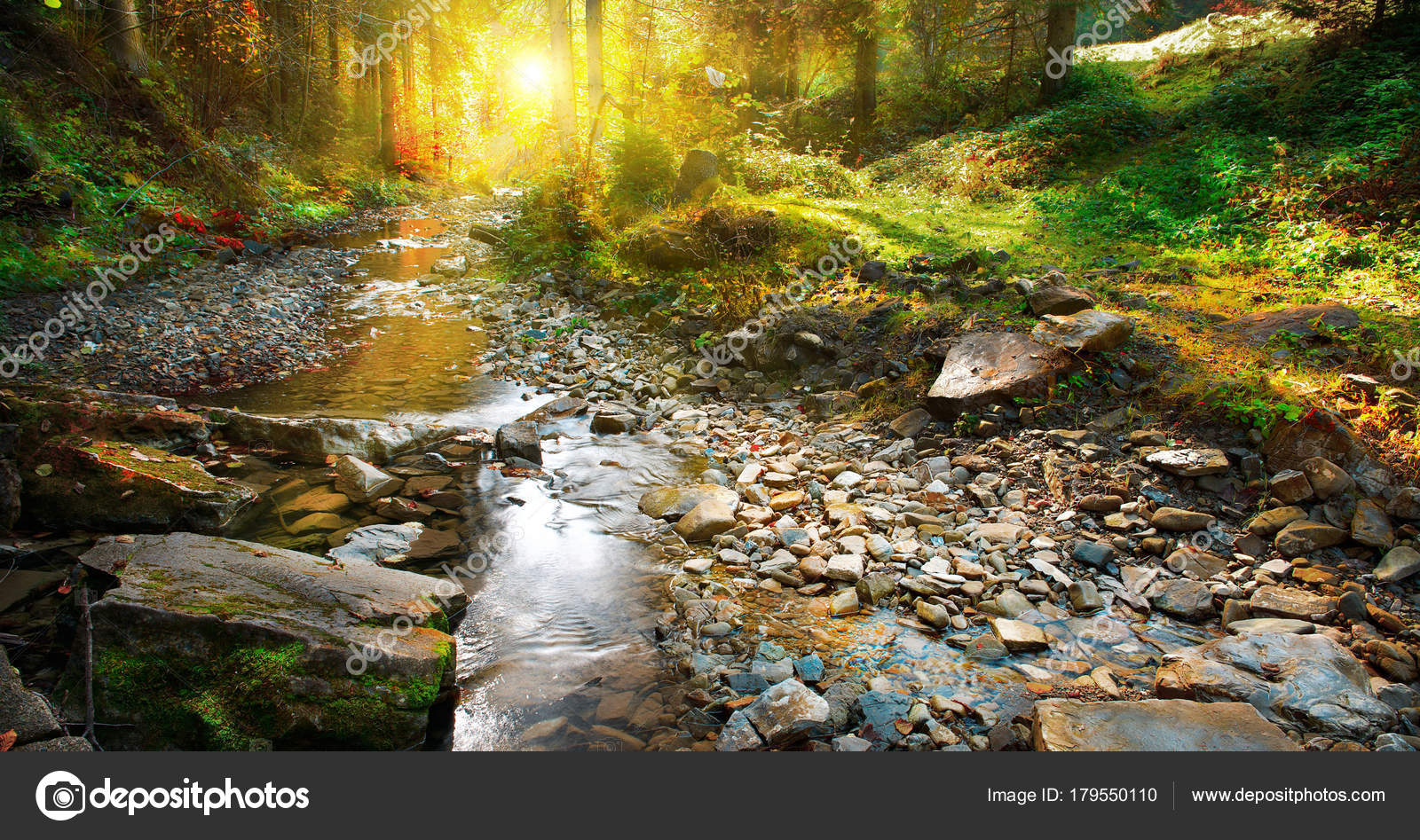 Rocky river streaming through lush forest · Free Stock Photo