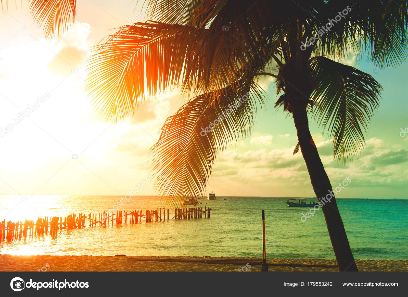 Coucher Soleil Plage Avec Palmiers Contre Ciel Orange