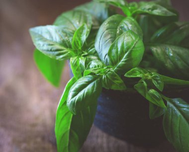 Karanlık rustik ahşap masa üzerinde kase taze fesleğen yaprağı