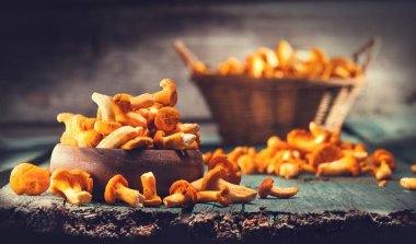 Ham vahşi chanterelles mantar sepeti ve kase içinde eski rustik arka plan