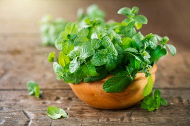 Bunch of fresh green mint leaves on wooden table clipart