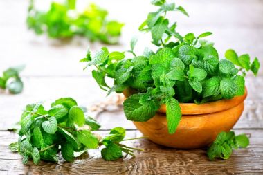 Bunch of fresh green mint leaves on wooden table clipart