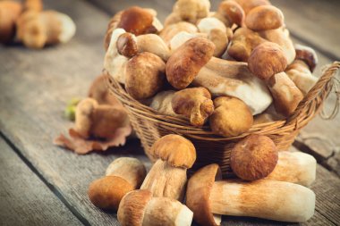 Ahşap rustik masa üzerinde mantar Görünümü Kapat