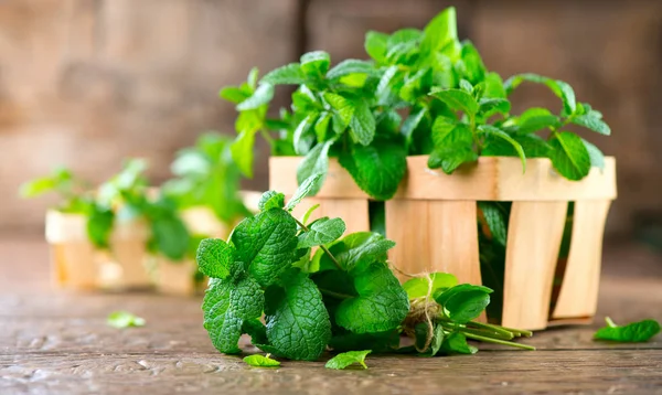 Bunch Fresh Green Mint Leaves Wooden Table — Stock Photo, Image