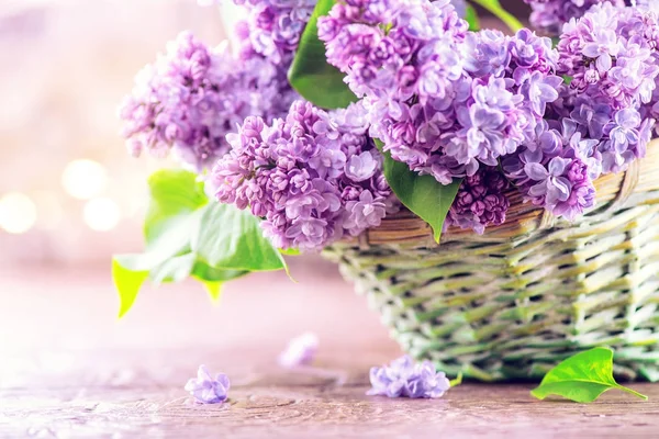 Lilac Flowers Bunch Basket Blurred Background — Stock Photo, Image