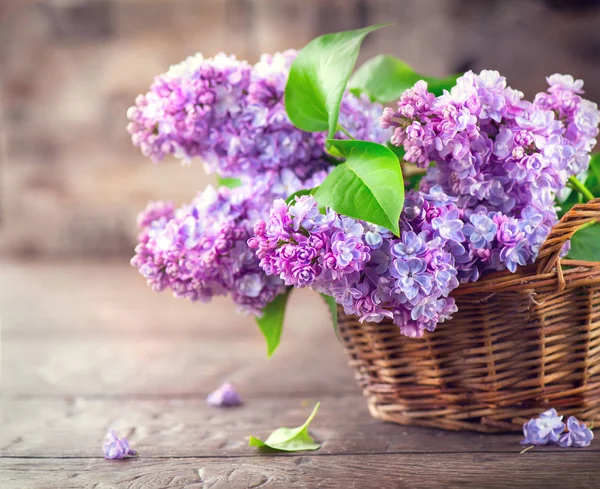 Lila Blommor Gäng Korg Över Suddig Bakgrund — Stockfoto