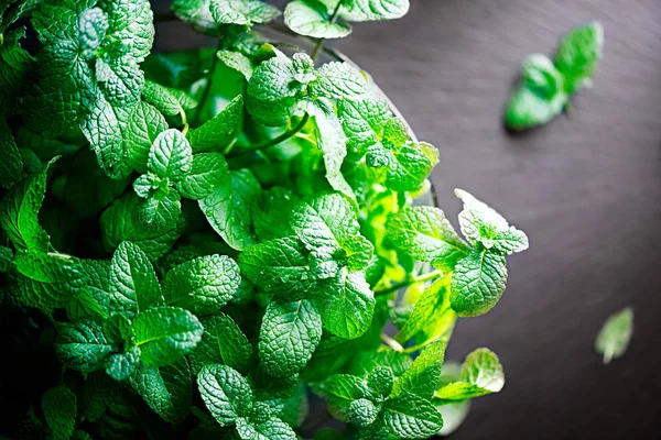 Knippa Färsk Grön Mynta Blad Träbord — Stockfoto