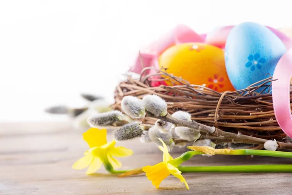 Easter Colorful Eggs Nest Spring Flowers — Stock Photo, Image