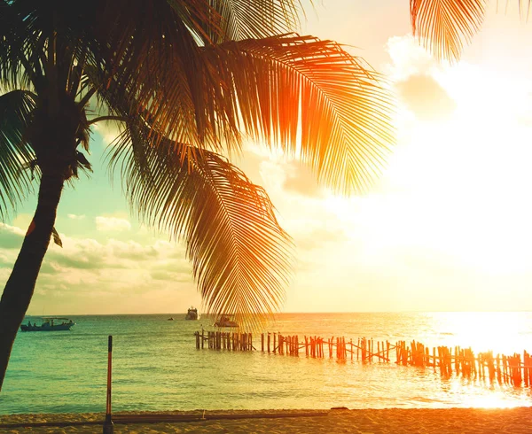 Sunset Beach Turuncu Gökyüzü Karşı Palmiye Ağaçları Ile — Stok fotoğraf