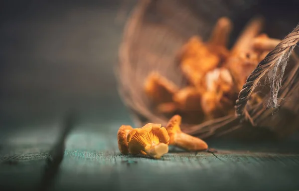 Champignons Chanterelles Sauvages Crus Dans Panier Sur Vieux Fond Rustique — Photo