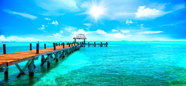 Playa Tropical Isla Caribeña — Foto de Stock