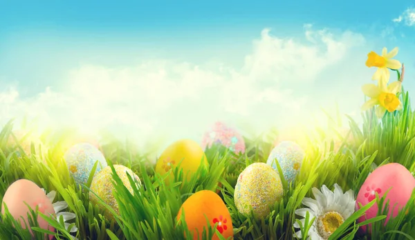 复活节五颜六色的彩蛋在春天草甸 — 图库照片
