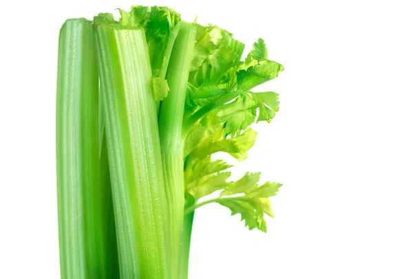 Close View Celery Isolated White Background — Stock Photo, Image