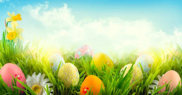 Easter Colorful Eggs Spring Grass Meadow — Stock Photo, Image