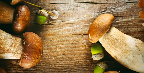 Vue Dessus Des Champignons Avec Glands Sur Table Rustique Bois — Photo