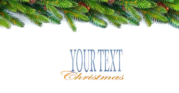 Vánoční Stromeček Kužely Větví Izolované Bílém Prostorem Pro Text — Stock fotografie