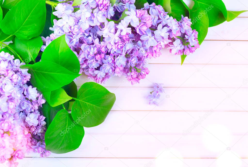 Lilac flowers bunch on white planks wood background