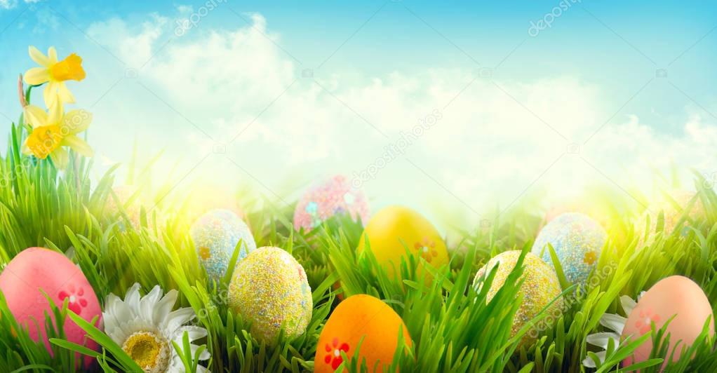 Easter colorful eggs in spring grass meadow