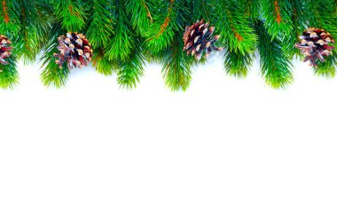 Christmas tree with cones branches isolated on white clipart