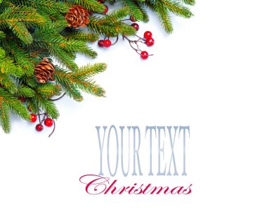 Metin için yer ile izole üzerinde beyaz koniler ile Noel ağacı dalları