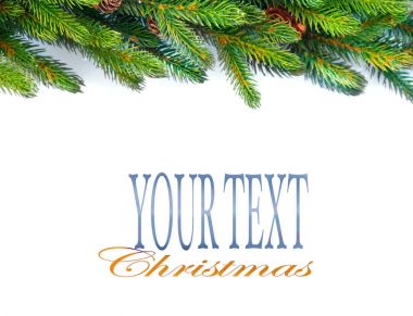 Metin için yer ile izole üzerinde beyaz koniler ile Noel ağacı dalları