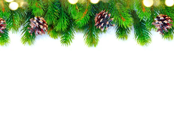 コーンとクリスマス ツリーの枝に分離白 — ストック写真