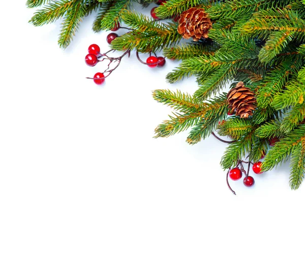 Weihnachtsbaum Mit Tannenzapfen Äste Isoliert Auf Weiß — Stockfoto