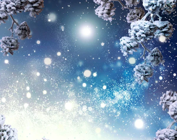 Winter Holiday Background Snow Covered Cones Snow Lights — Stock Photo, Image