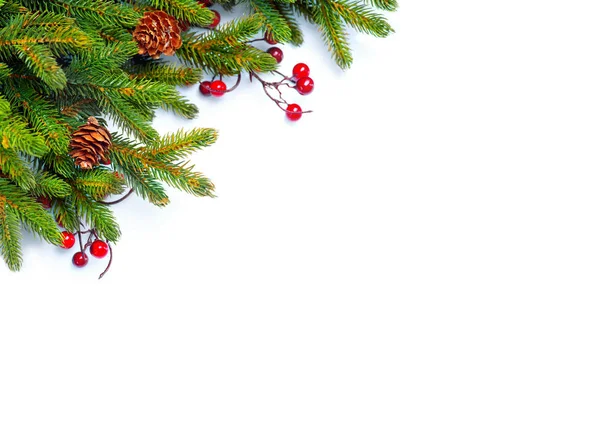 Рождественская Елка Ветками Конусов Изолированы Белом — стоковое фото