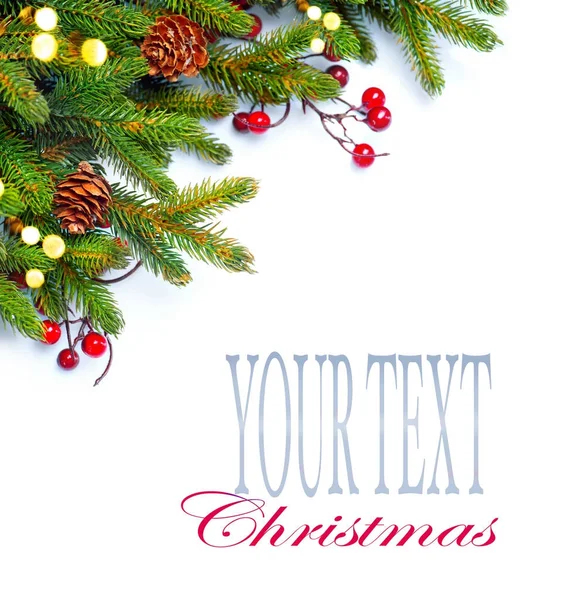 Metin için yer ile izole üzerinde beyaz koniler ile Noel ağacı dalları