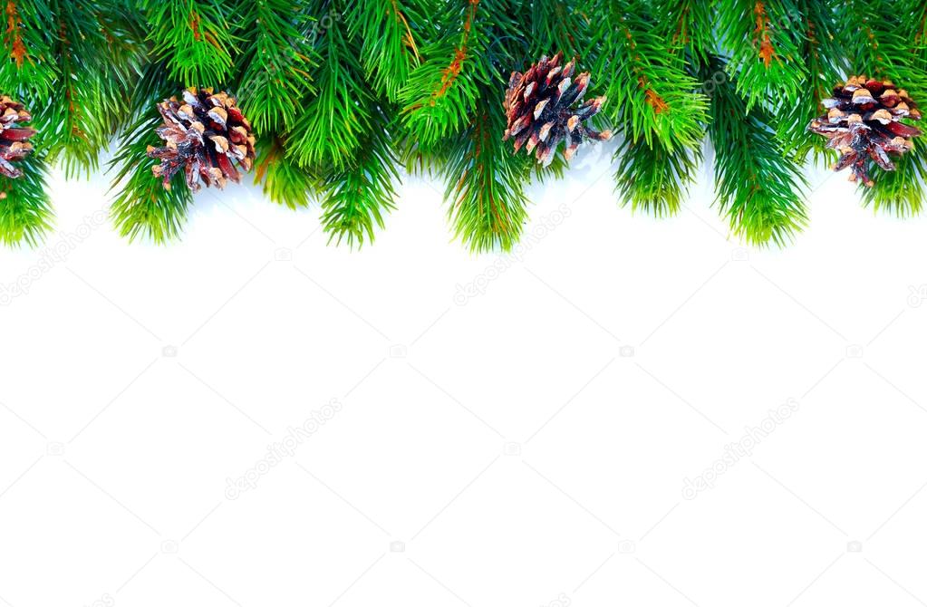 Christmas tree with cones branches isolated on white