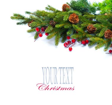 Metin için yer ile izole üzerinde beyaz koniler ile Noel ağacı dalları