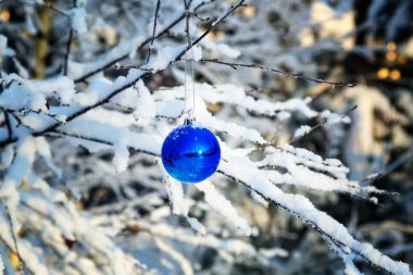 Mavi top karla kaplı ahşap dal.