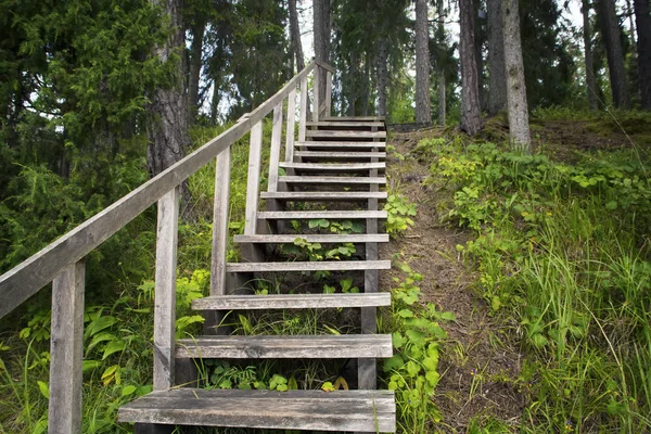 Vieja escalera de madera —  Fotos de Stock