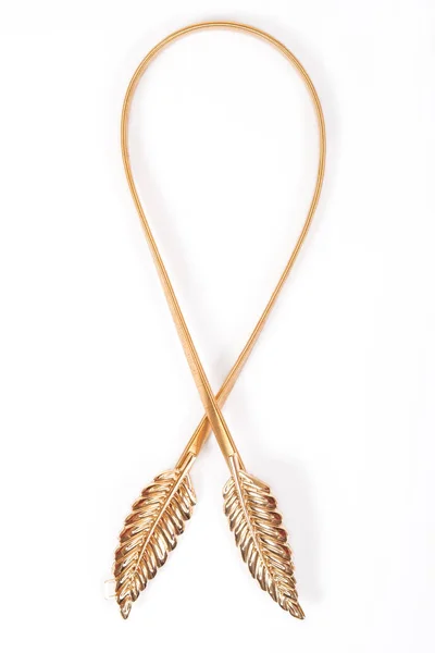 Cintura d'oro femminile — Foto Stock