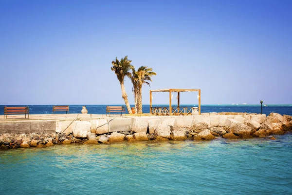 View of a pier with palm trees — Stock Photo, Image