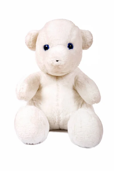 White bear with blue eyes — Stock Photo, Image