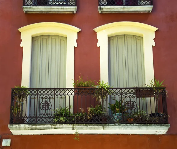 Balkon z roślinami w mieście — Zdjęcie stockowe