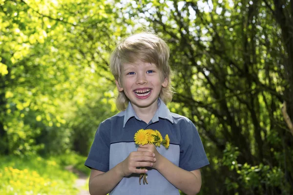 Açık havada dandelions ile sevimli sarışın çocuk — Stok fotoğraf