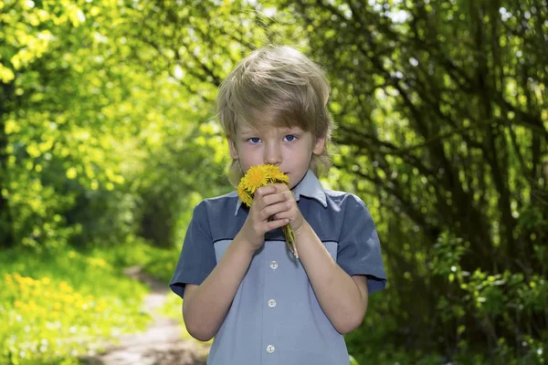 Cute blonde boy with dandelions outdoors — Stock Photo, Image