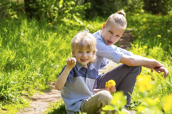 Smiling blond brothers in the park — Stock Photo, Image