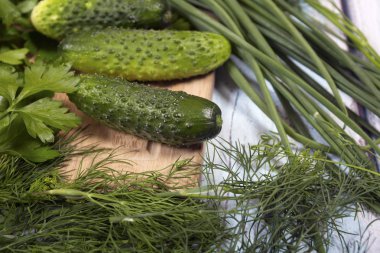 Salatalık, rezene ve maydanoz