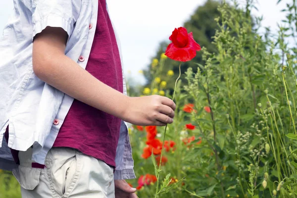 Nice blond boy with a red poppy in his hand. — Stock Photo, Image