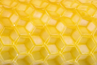 Petek boş hücreler. 