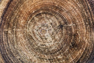 Ahşap arka plan kesmek