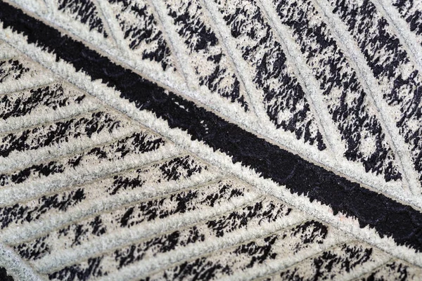 Deri doku soyut süsler ile yakın çekim