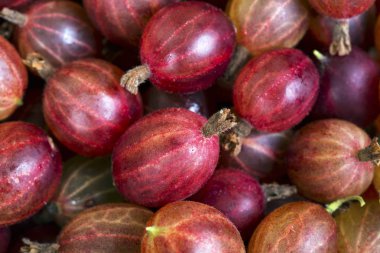 Kırmızı bektaşi üzümü meyve Üstten Görünüm.